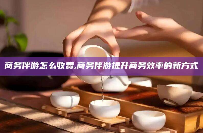 丽水商务伴游怎么收费,商务伴游提升商务效率的新方式